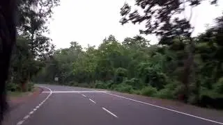 Salboni arabari Jangal