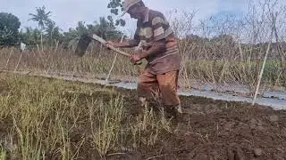 SMART FARMING HACK: RECLAIM YOUR LAND USING SIMPLE TRADITIONAL TOOLS!  -Agriculture Farming