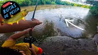 ESTE PESQUERO TIENE MUCHAS SORPRESAS!! 😱 Pesca y Cocina SALIO EL DORADO!! Bagres y rico asado!!