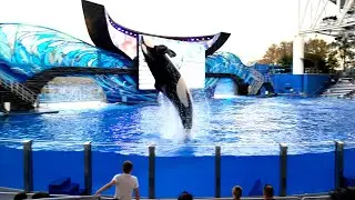 SEARWORLD ORLANDO 08JAN2019 Ocean Encounter