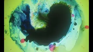 Liquid Light Show 2