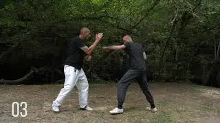 Dim mak Techniques Combat - Ecole Vent Tourbillonnant