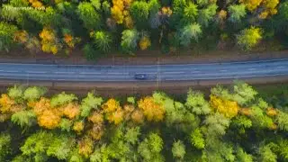 SCIENCE BEHIND: Fall foliage, changing of leaf color