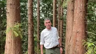 Egsmark Plantage