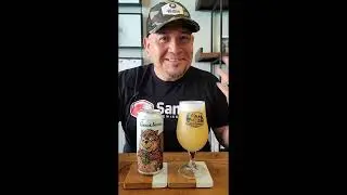 Beer Review #164- Great Notion Brewing Company, Plump Hazy IPA