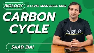 Carbon Cycle | O Level | Biology | Saad Ziai | SLATE