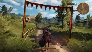 Witcher 3 | Almost run over by 3 race horses | Vegelbud Residence