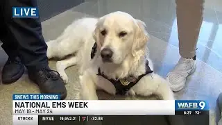 Therapy dog part of mental health resources available for EBR EMS