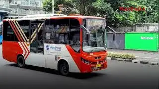 Pemotor Tewas Usai Terjatuh dan Tertabrak Bus Minitrans di Jaksel