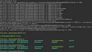 Code Exploration - Building dxvk on NixOS
