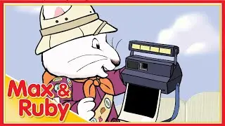 Max & Ruby: Ruby's Safari / Max's Mud Bath / Max's Lost Lizard - Ep. 34
