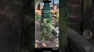 TikTok vs YouTube😳Which platform won? #fyp #contentcreator #viralvideo #tiktokvsyoutube