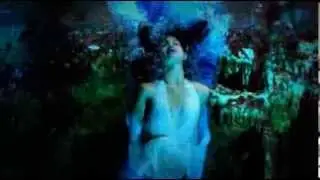 La Belle Dame Sans Regrets - Sting Video