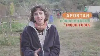 Huerta dignidad (M&aacute;laga)