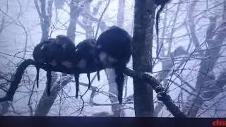 Very cold weather...