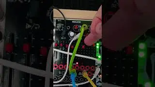 super fun with @Befacosynth #muxslicer