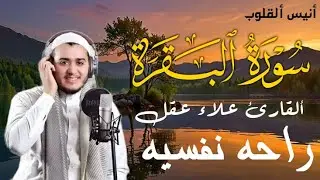 سورة البقرة كاملة, رقية للبيت, وعلاج للسحر | القارئ علاء عقل - Surah Al Baqarah