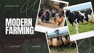 Mixed Farm Success: High Yield, Low Cost