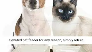 ProsperDog Elevated Dog Dish Pet Food Bowls With Stand