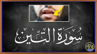 Learn Surah At-Teen سورة التين with (Lip movement) | Arabic101