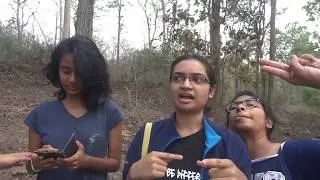 TRAVEL VLOG: DANDELI 2018