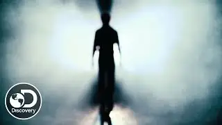 Does Our Consciousness Continue After Death?