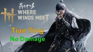 WWM- Tian Ying/Miaoshan- No Damage (Abyss Trial)