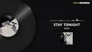 Strut - Stay Tonight (1988) | Obscure AOR / Melodic Hard Rock Gem