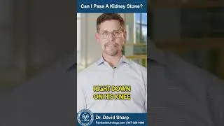 Can I Pass A Kidney Stone? | Fairbanks Urology | Dr. David Sharp