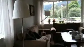 alice hopper opp 2.MOV