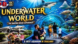 4K Unreal Underwater Tunnel in Thailand Pattaya Aquarium (2025)
