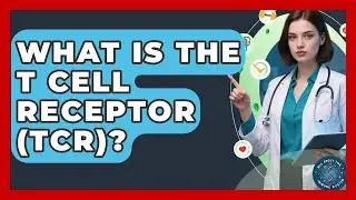 What Is The T Cell Receptor (TCR)? - All About the Immune System