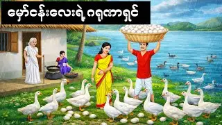 မှော်ငန်းလေးရဲ့ ဂရုဏာရှင်