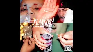 flansosa - bitcoins (spedup)