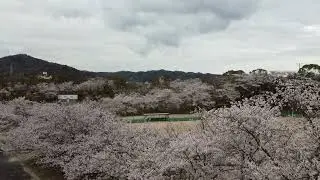 Drone shooting at 