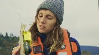 Marine animal research - UBC Faculty of Science