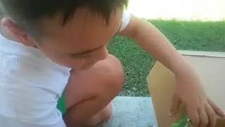 Box Fort Challenge - Water Edition
