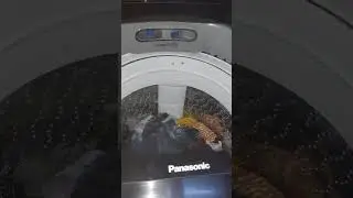 Panasonic 12.5kg fully automatic  washing machine #short