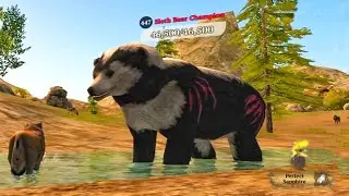 The Wolf - Legendary Drop and Sloth Bear Champion In Featured Legend Mountains 🏆