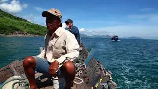 Search For the Fallen