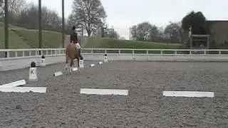 prelim 14 73.75 percent! amazing