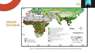ECOLOGY AND EVOLUTION OF MELANISM IN BIG CATS: CASE STUDY WITH BLACK LEOPARDS AND JAGUARS