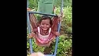 shenga kodpani