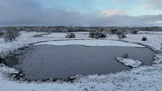 Terhorster zand en de ecoduct bij Beilen.