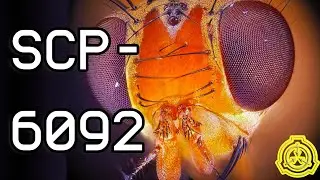 SCP-6092 | Barista, There's a Fly in my Coffee | Fruit fly coffee invaders