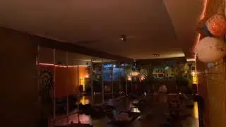 Roots Yoga studio vibes