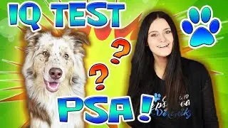 IQ TEST PSA! Zkou&scaron;&iacute;m IQ test se &scaron;těň&aacute;tkem Merlinem