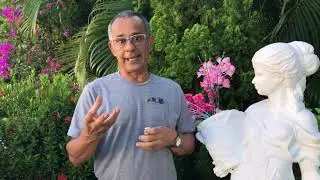 Saiba mais sobre o OE Alecrim QT Cineol
