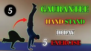 hand stand up step by step / best exercise for hand stand 🤯 