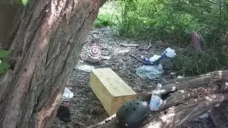 BOSTON PARKS' TOLERANCE TO ENVIRONMENTAL CRIME ON THE MUDDY RIVER WETLANDS IN FENS PARK IS SICKENING
